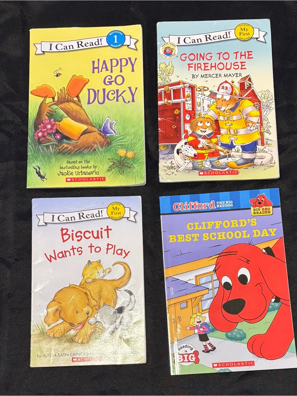 Lot of Level 1 Early Readers